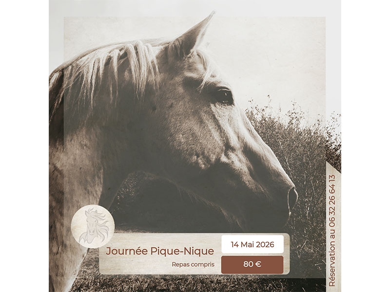 Journée pique-Nique à cheval