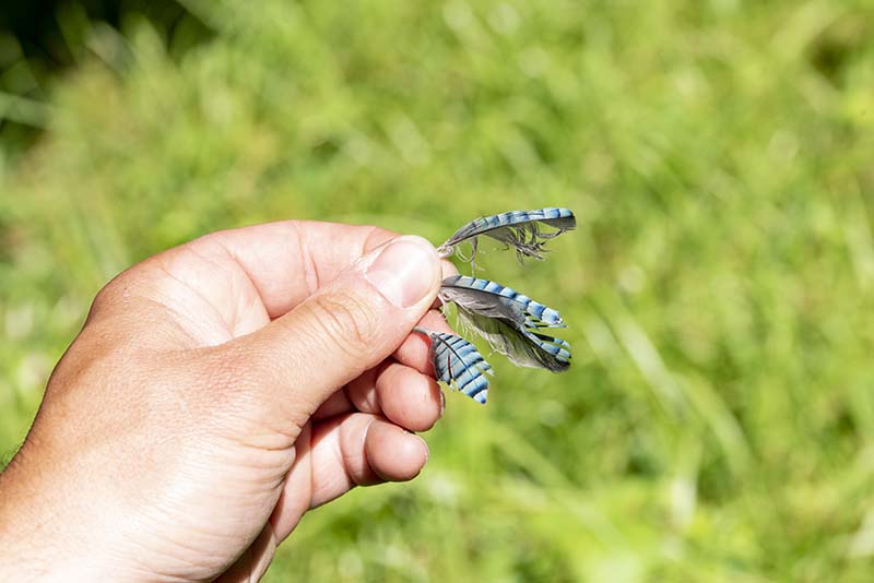Sortie nature - À poils ou emplumés, juste une question de nature !