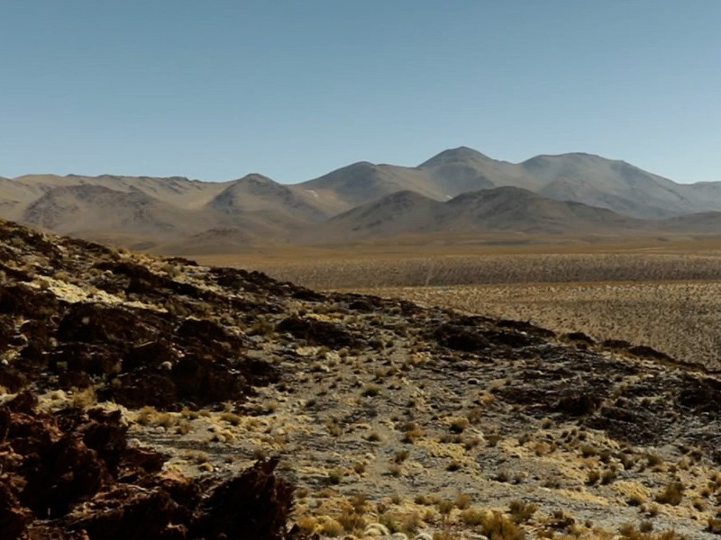 Exposition Ex Nihilo d'Agathe Simon