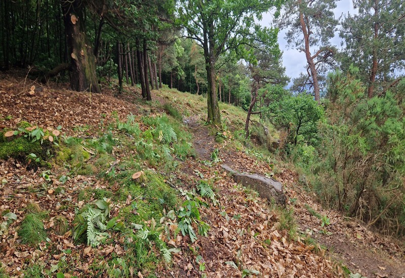 Restauration et biodiversité des landes de Cerisy